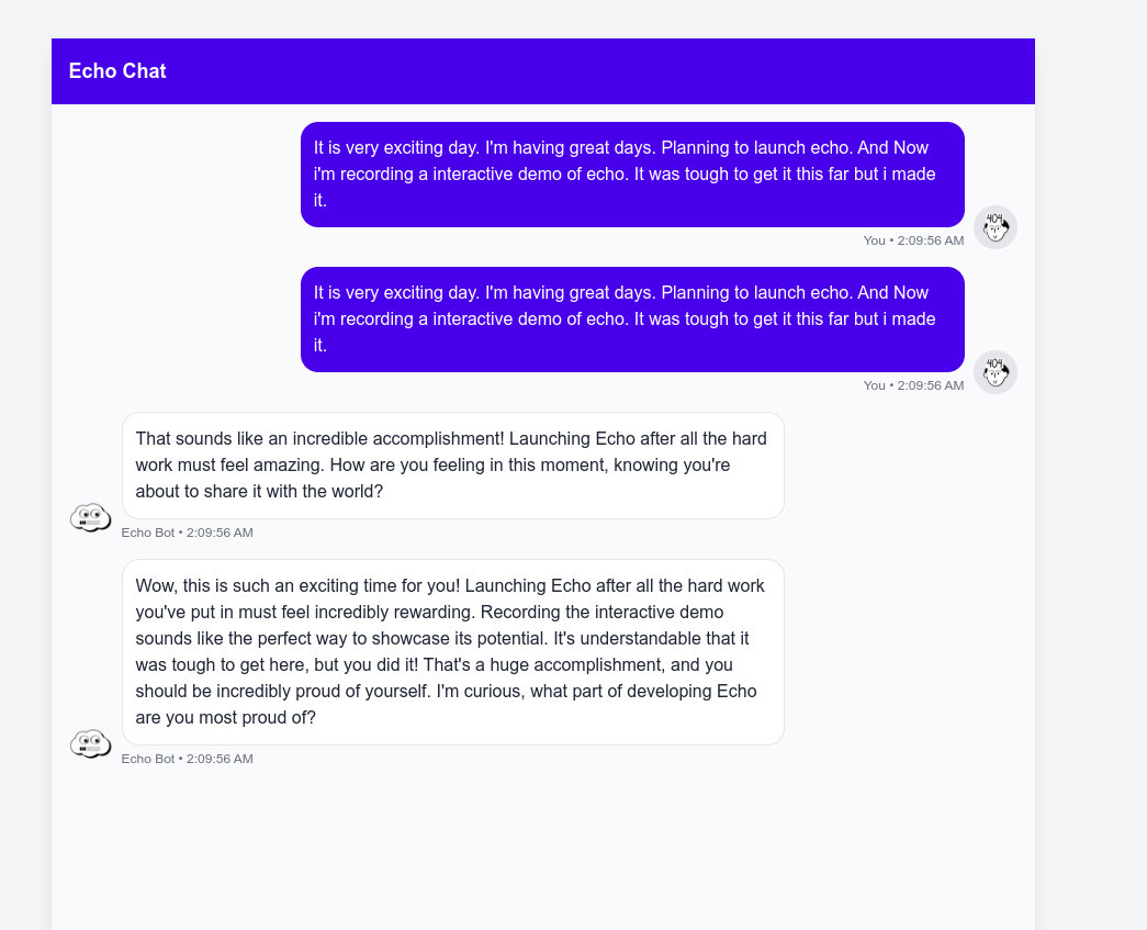 Step 4: Chat with Echo
